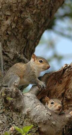 Our Support Packages