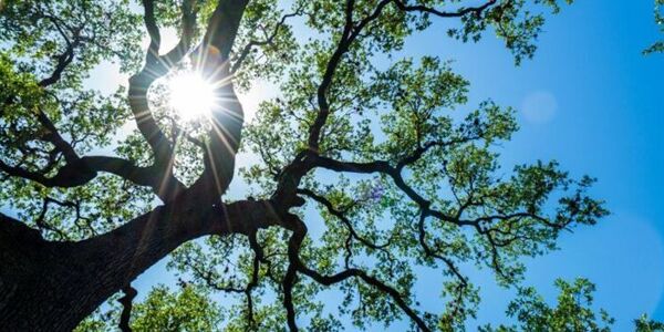 We are pleased to announce the launch of our new website!