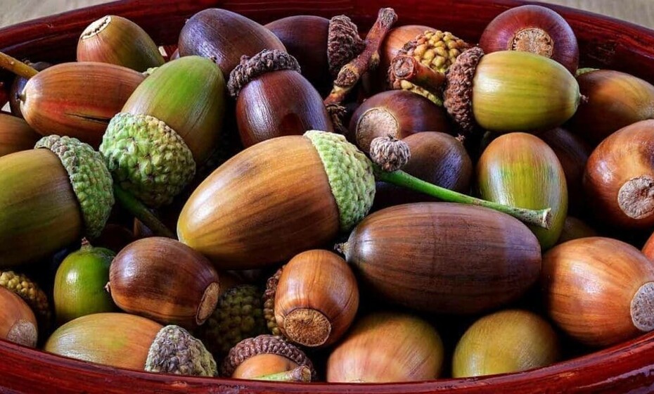 Find out more about our Head Teacher Open Days to relaunch our Behaviour Support packages 2025-26