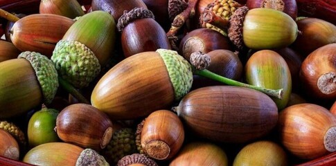 Find out more about our Head Teacher Open Days to ...