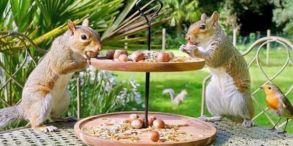 Afternoon - TA - Tea - SEMH support