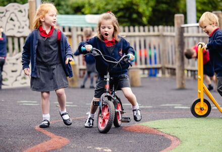 Pennybirdandcamera 58916