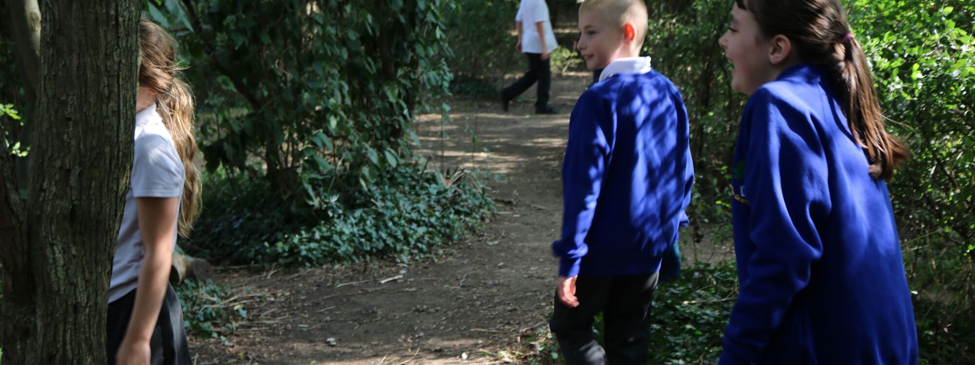 Header Image 1