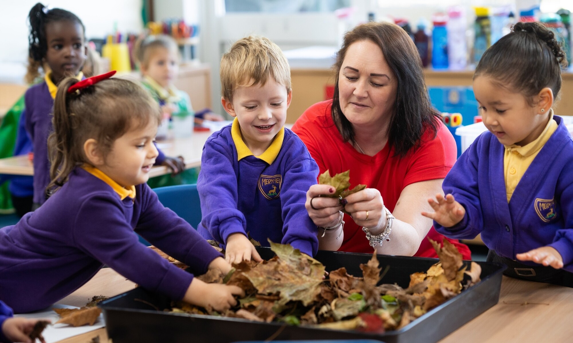 Meryfield Community Primary School Students Working Together