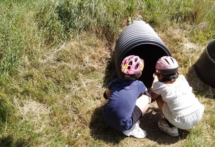 IMG 2025 06 18 11 59 32 980