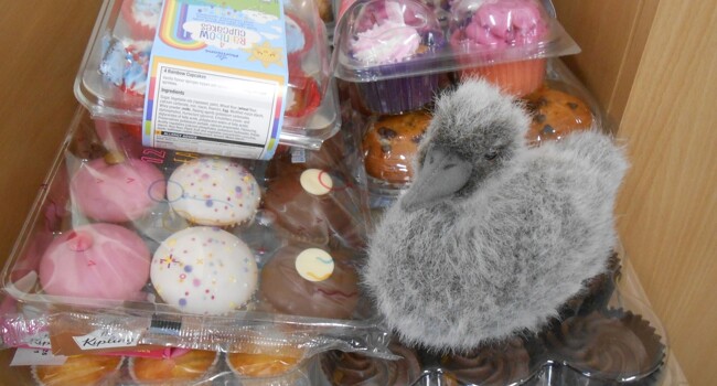 Sid the Cygnet Image