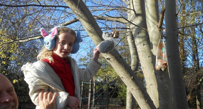 Sid the Cygnet Image