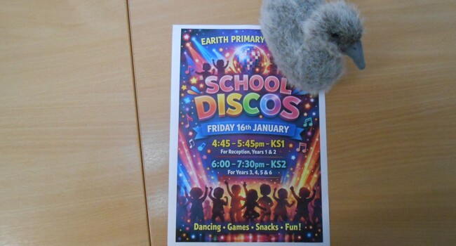 Sid the Cygnet Image