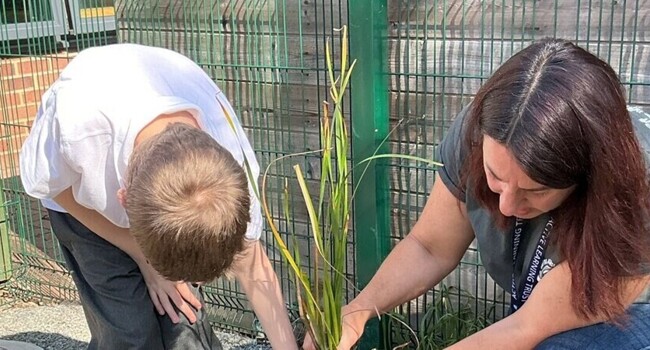 Local business supports our pond project Image