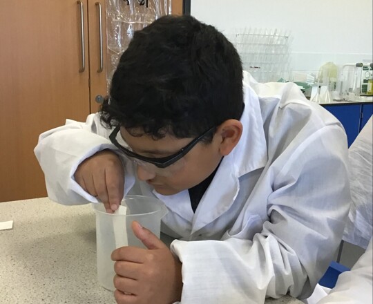 Yellow Pathway Image