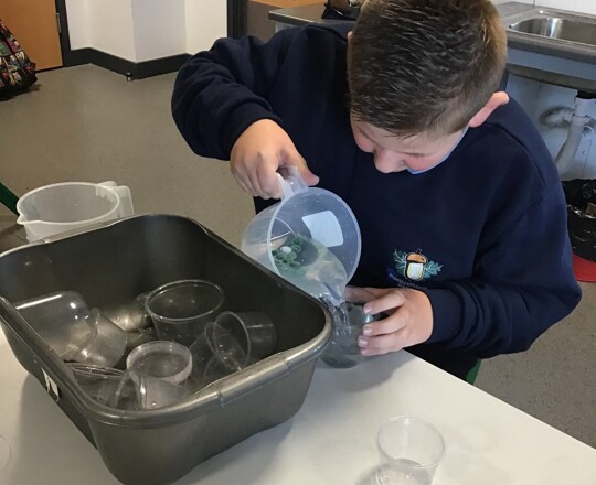 Purple Pathway Image