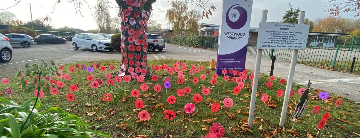 Westwood Primary School Unveils Poppy Display