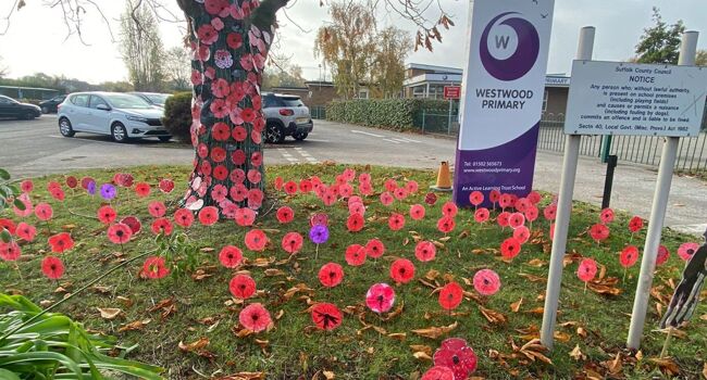 Westwood Primary School Unveils Poppy Display Image