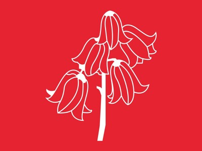 Grove Primary School   Square