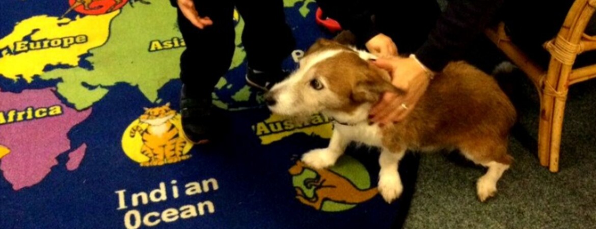 Exciting Visitors to Nursery!