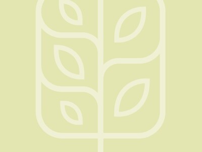 Graphical Link Yellow