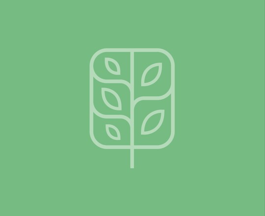 Working Groups Image