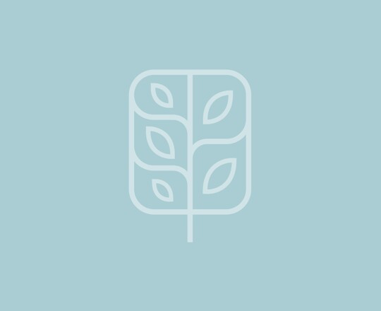 Systems & Tools Training Image