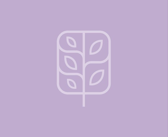 Professional Development Image