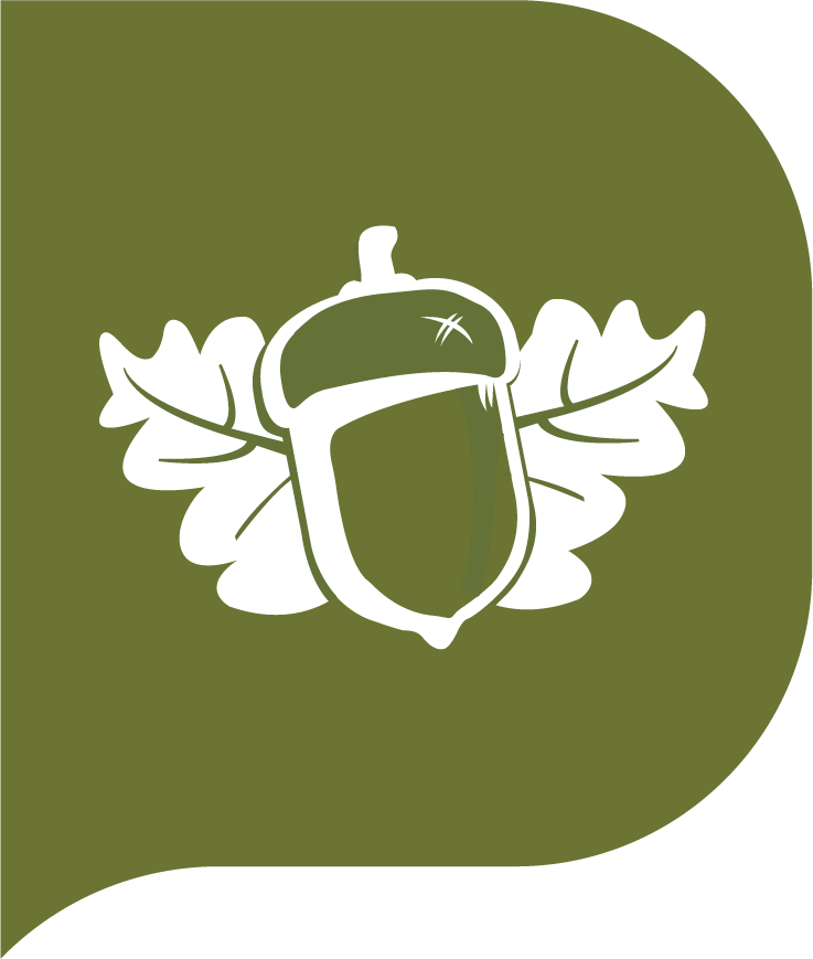 Highfield Ely Academy