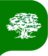 Reydon Primary School