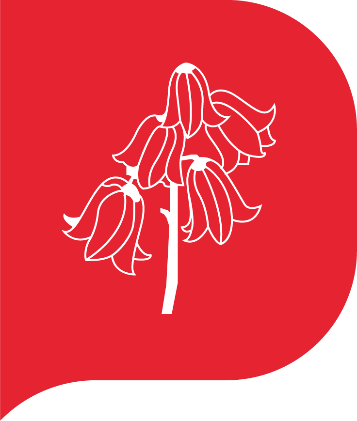 Grove Primary School