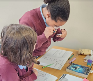 Admissions Information