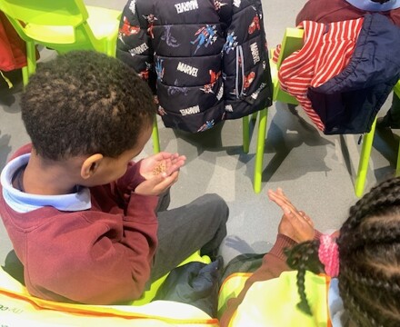 Brixton WIndmill Willow Feb 2025 3