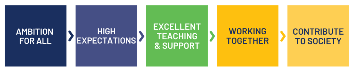 Values Graphic   Website