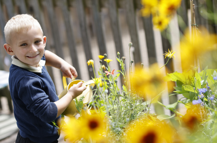 Young boy outside you can see a wodden fence and lots of yellow flowers