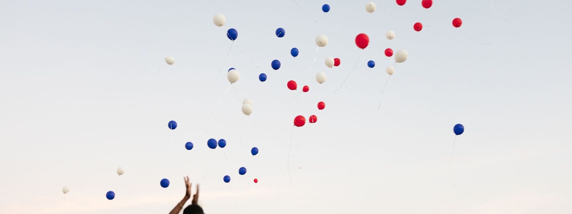 Header Image 1