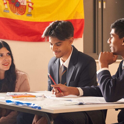 Modern Foreign Language Image