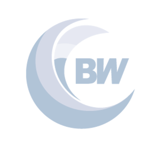 BWA Logo for Alumni Page