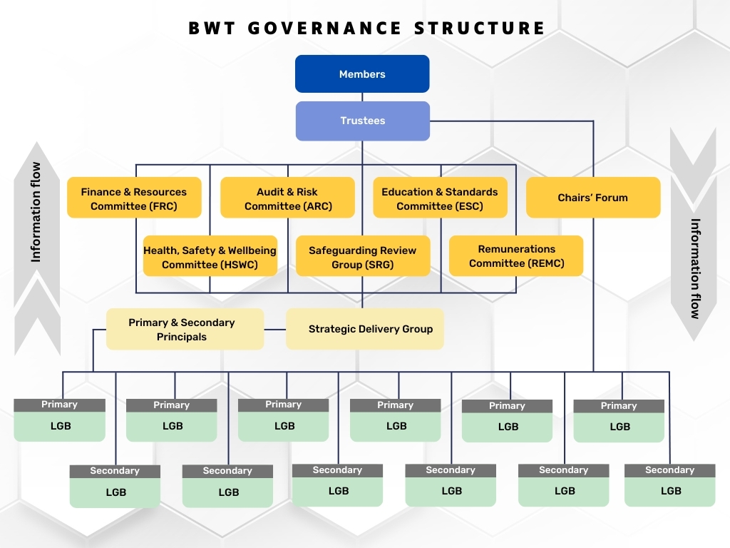 Governance structure infographic