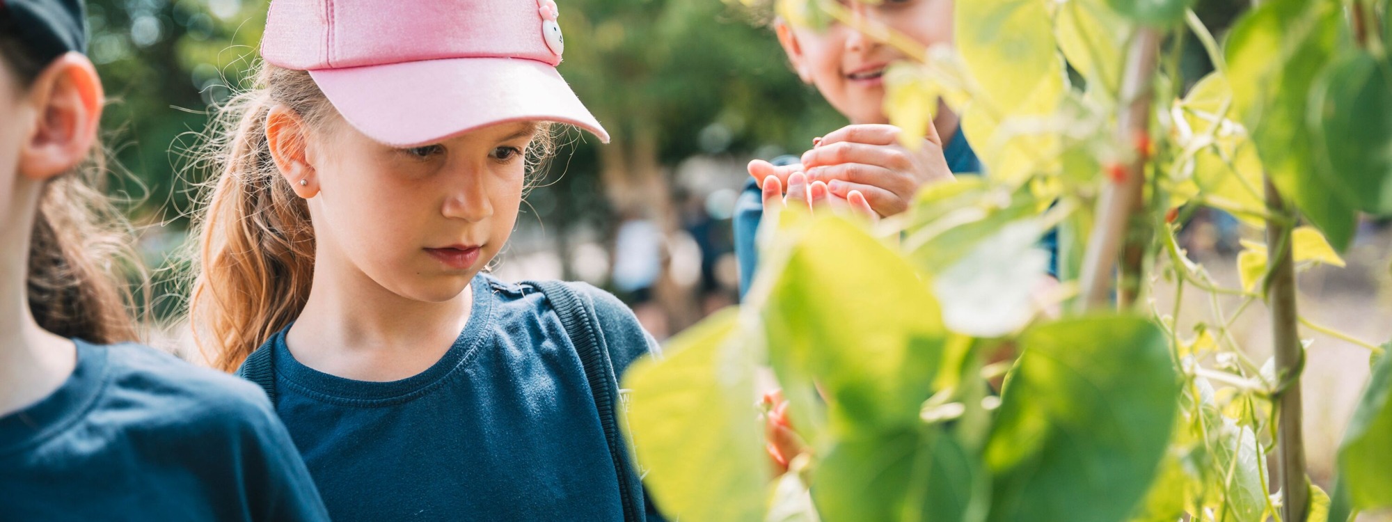 LEO Chandlers Field 2025 040