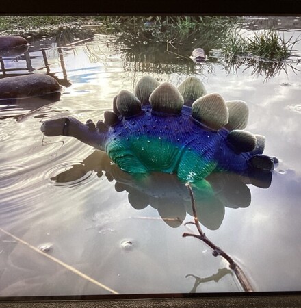 Lights, Camera, Action!