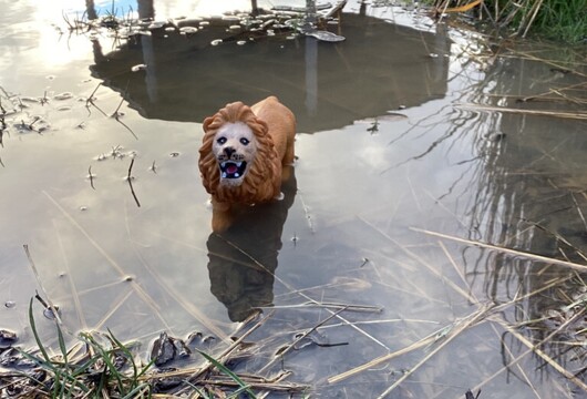 90DDA0349E924CF68DBE66DF173D17B7