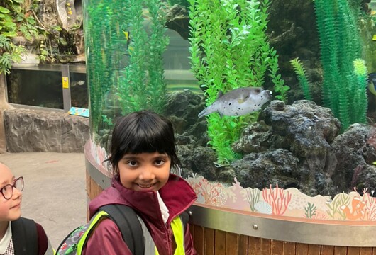 BB7EB7BC6DF8420A8BBD711DAA12309F