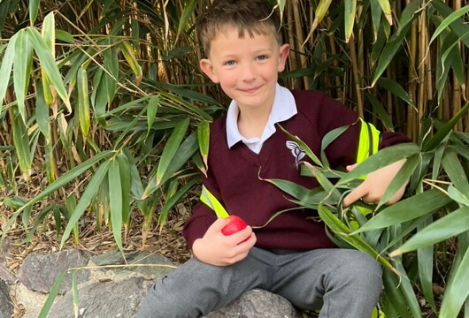 FE8FBB1987D644FF9E94FBEE34A6948B