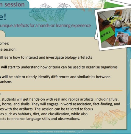 Year 1's Exciting Adventure at Colchester Zoo!