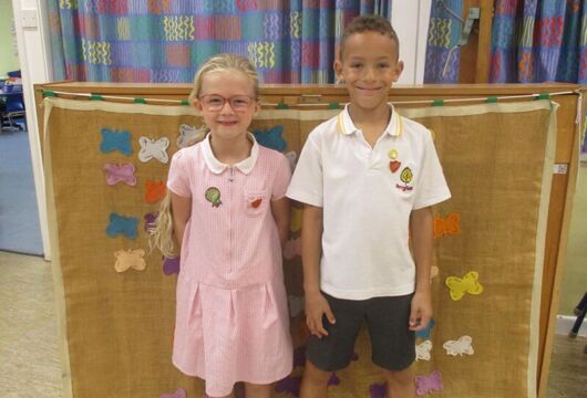 IMG 7852