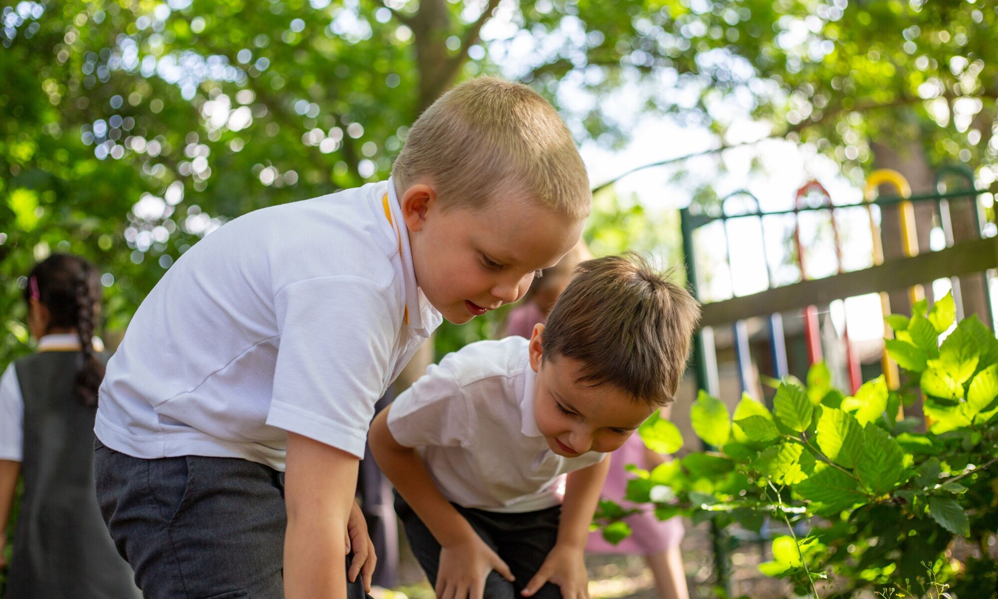 Perryfields Infant School - Nature Outside