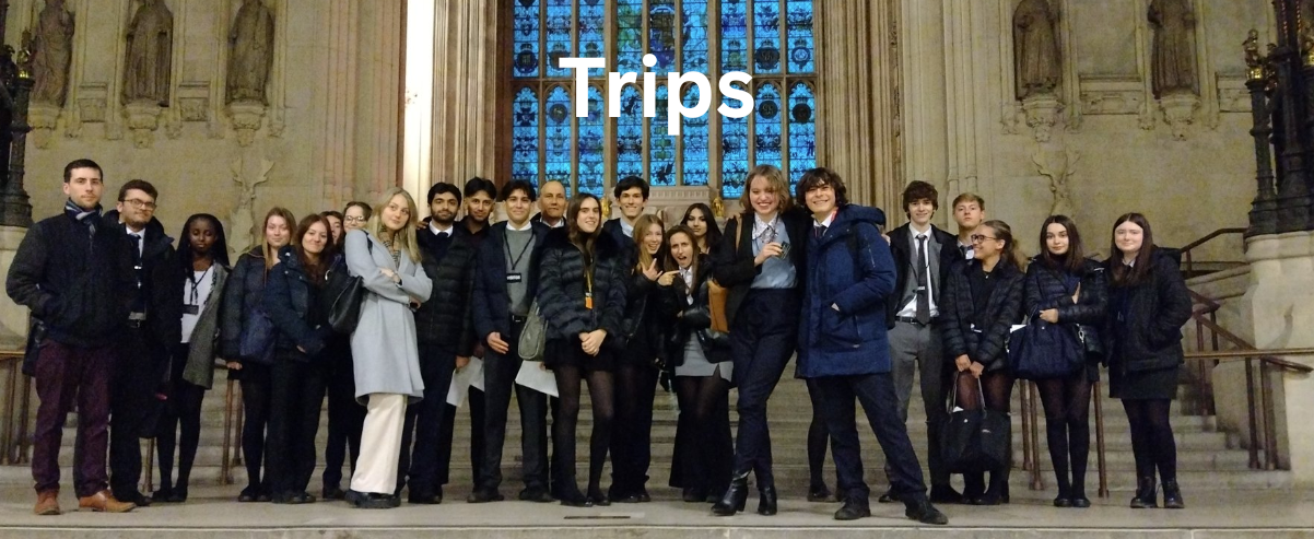 Trips (1)