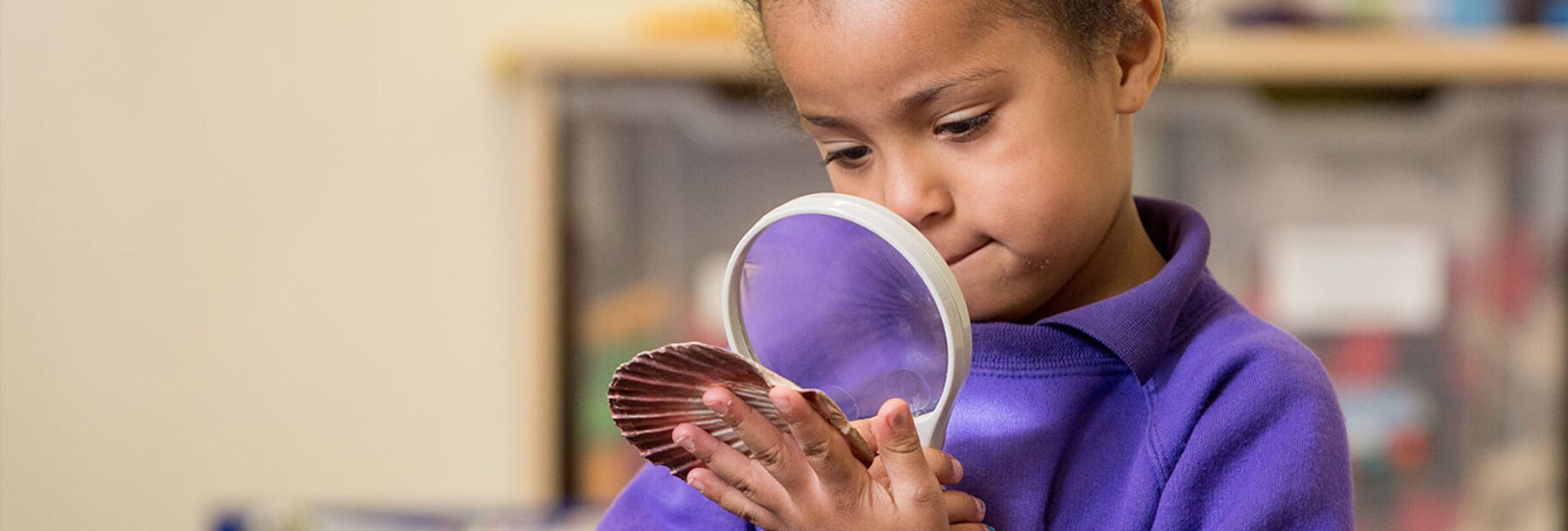 The Rich History of our Trust Image