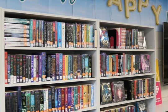 Library display 2