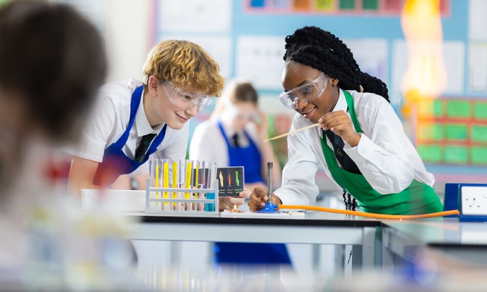 Cove School Newsletter