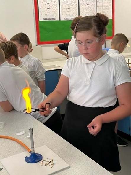 Y6 Science