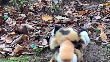 Daily Dose of Nature!