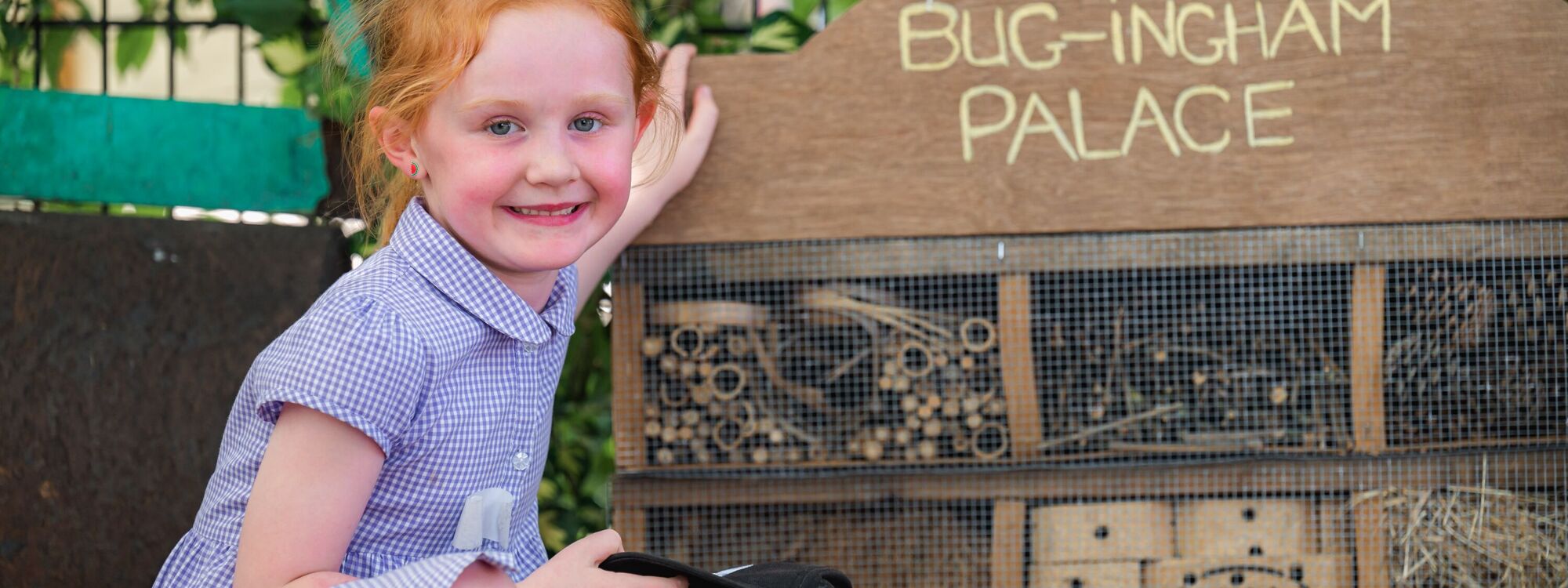 Header Image 1