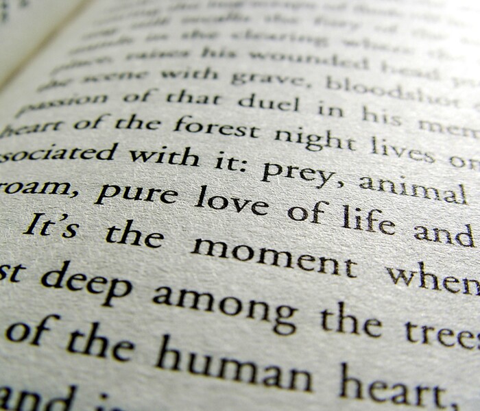 English Language * Image